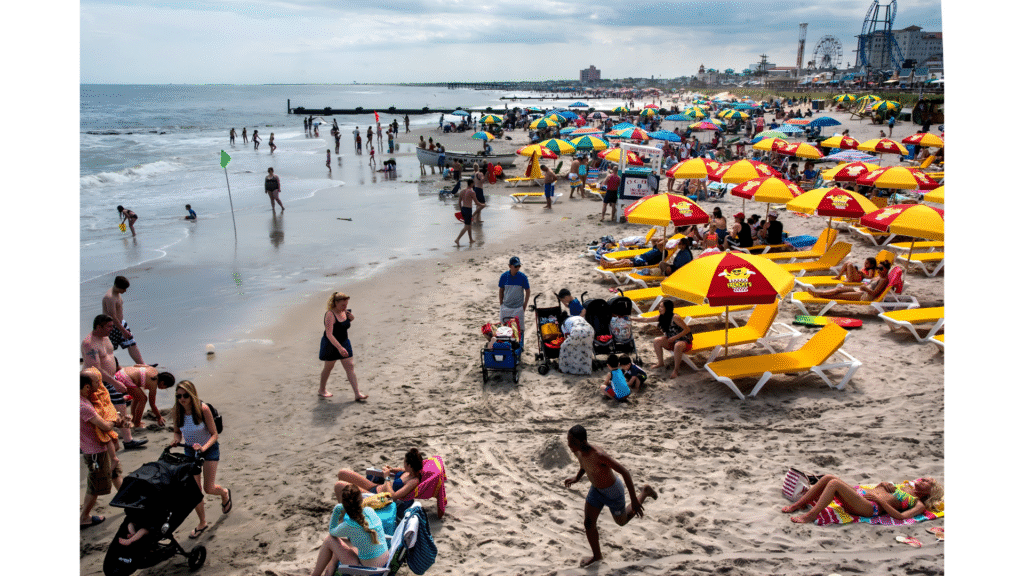Pet-Friendly Beaches in Ocean City NJ