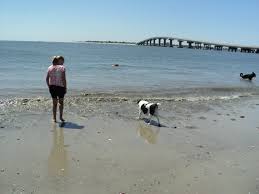 Pet-Friendly vacation rentals in Ocean City NJ